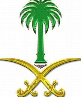 — سيفين ونخلة سيفين ونخلة